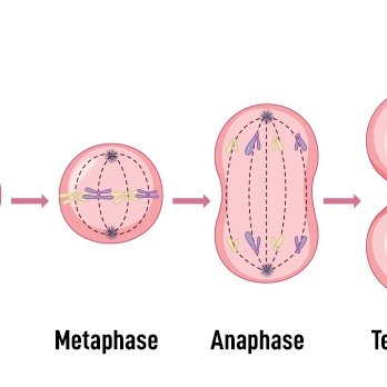 hsttxii's profile picture. 