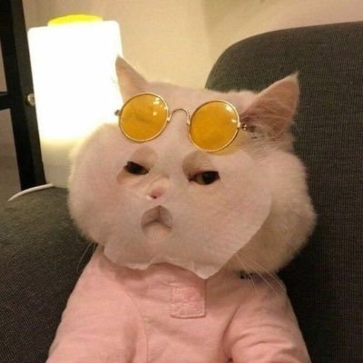 SabriStagnaro's profile picture. 