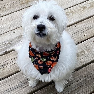 jane94801's profile picture. 