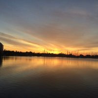 Sassy (@sassybella53) 's Twitter Profile