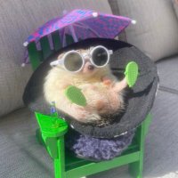 Emi (@emi_hdzz) 's Twitter Profile Photo