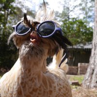 Yo tu soberana. (@wnubew) 's Twitter Profile