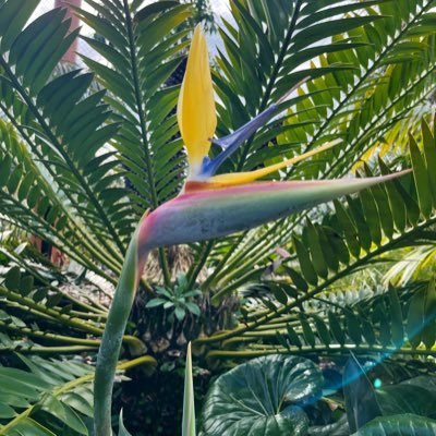 slade_nell's profile picture. 