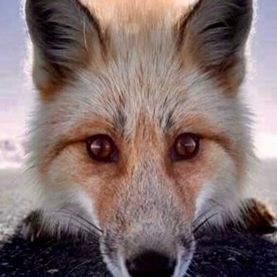 5gmfwjmv2n's profile picture. Retired Millwright 😌