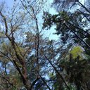 Camerooon - @RogelioAyalaRa1 - Twitter