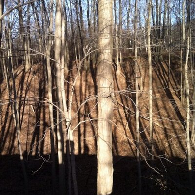 mel_willson's profile image