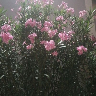 طال الانتظار