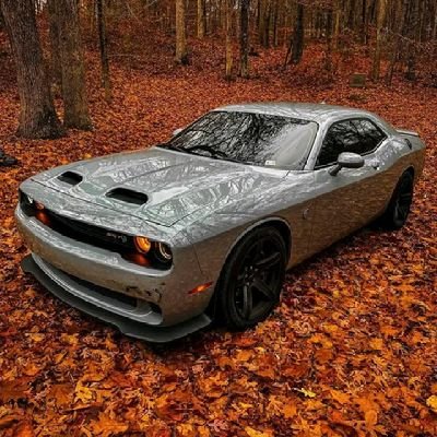 NehemiahAY's profile picture. Defi | Diamond Hands💎| True Degen 💰
Market Analyst 📰 Trader 📈