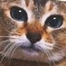 Ronan (@rmhewwo) Twitter profile photo Ronan (@rmhewwo) Twitter profile photo