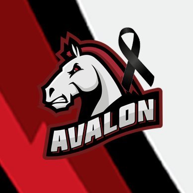 Mais que equipe, uma família. A Avalon é um sucesso! ♥️🤍🖤