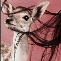 ّ (@i30vx) 's Twitter Profile