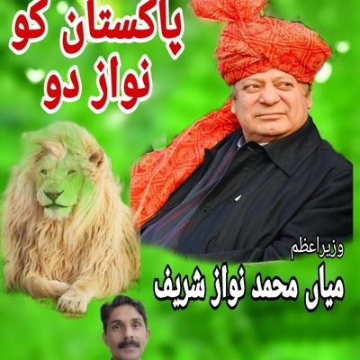 MalikAliRa55681's profile picture. 