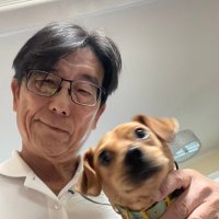 afi textile (@mega98afitex) 's Twitter Profile Photo afi textile (@mega98afitex) 's Twitter Profile Photo