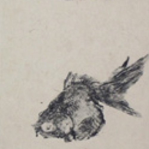 実海棠 Mickaido Twitter