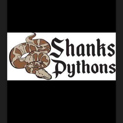 Producing amazing  bearded dragons, leopard geckos, and ball pythons! DM for any questions or concerns or interests!!!