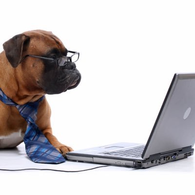 JStfarm's profile picture. Your honor, I'm a freak bitch, handcuffs, leashes Switch my wig, make him feel like he cheating Put him on his knees, give him something to believe in