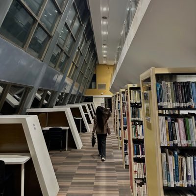 PirehNazeer's profile picture. 