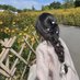 Elara (@elara4128780347) Twitter profile photo Elara (@elara4128780347) Twitter profile photo