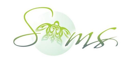 Soms Consulting a leading Web design & development company india expertise in quality web designing, online marketing solutions & application development...