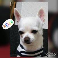 潤san🧡🗣🐕🦺 (@bbfanjun) 's Twitter Profile Photo 潤san🧡🗣🐕🦺 (@bbfanjun) 's Twitter Profile Photo