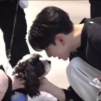 b (@snwushi) 's Twitter Profile Photo