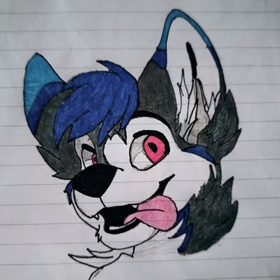 nombre: cinux the wolf
edad:19 años
pronombre:el
genero: bisexual
artista de dibujos furry y amante de fnaf no soy fan por moda pregunten y se los digo todo