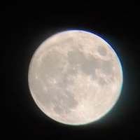 礼弈（接陪聊 (@born_inburning) 's Twitter Profile