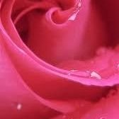 Smith2136057467's profile picture. 