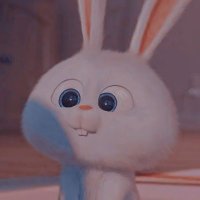 S N O W (@artistrysnow) 's Twitter Profile