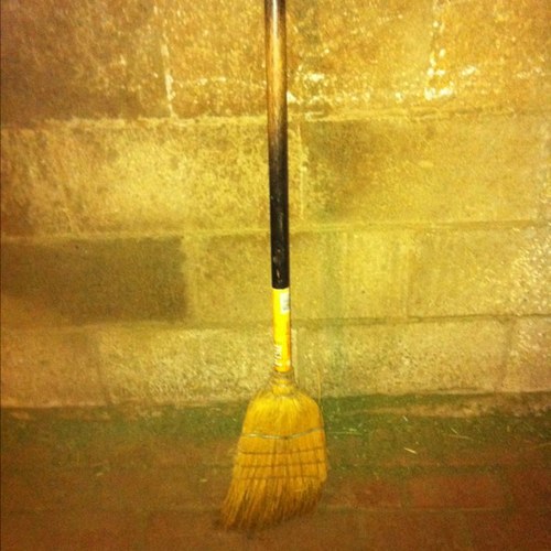 cvsproblems's profile picture. From Creditview Stables in Brampton, Ontario. Don't get us wrong, we freaking love this place. But like any home, it has its quirks.