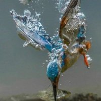 Azull (@azull2626) 's Twitter Profile