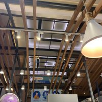 Hammidhot (@hammidhot_) 's Twitter Profile