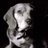 simplew0rd's profile image