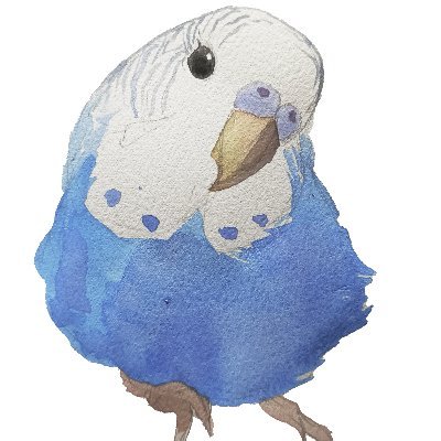 NENさんのプロフィール画像