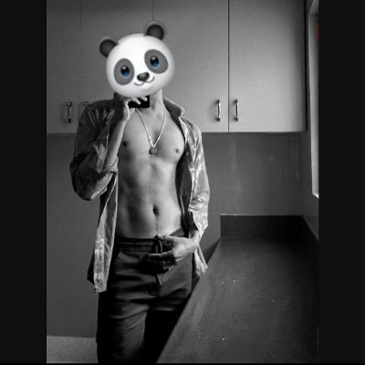 MoonlightSP4's profile picture. 🌑🌒🌓🌔🌕🌖🌗🌘🌑