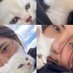 Chintia Dwi Lestari (@chintiaadl) Twitter profile photo Chintia Dwi Lestari (@chintiaadl) Twitter profile photo
