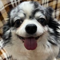 まーくん a.k.a まんくん (@makyoslash) 's Twitter Profile