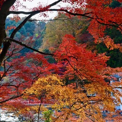 日本に平和が戻りますように🇯🇵