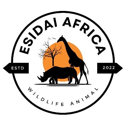 EsidaiT79875's profile picture. ESIDAI Africa Tours and Safaris is a reputable tour and company located in Arusha, Tanzania and a branch in San Francisco-USA.