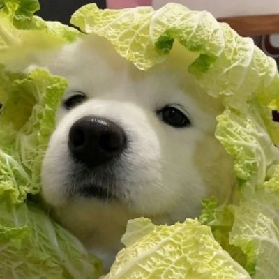 luckyyy_gooddd's profile picture. 귀여운 게 다야.                                                          🐶🐱🍰🍴📖✏️🎧🌷🌹✈️🌊☀️💙