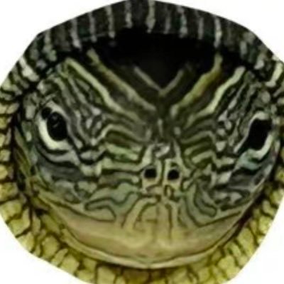 hushui476827's profile picture. 