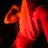 balbonsarap's profile image