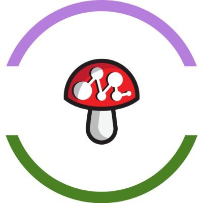 De l'ombre à la lumière . Je t'apprends à scraper selon ta cible client .Scraper des fichiers , du contenu en No-Code , avec Python . Tout te sera révélé