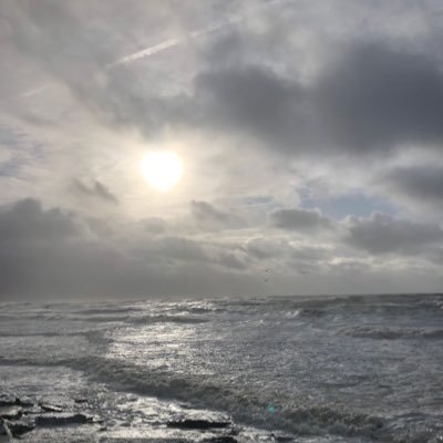 Herzig_TH_Koeln's profile picture. Pharmakologe Hochschulmanager Bildungsenthusiast