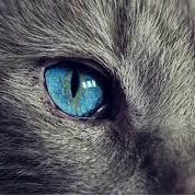 sensey2103's profile picture. 