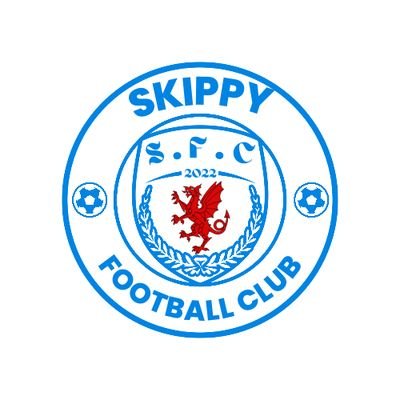 Skippy Football Club Entering North East Wales Tier 5 Championship Division for the 23/24 Season.