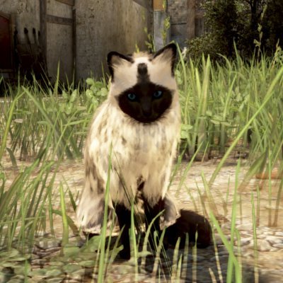 MMO「黒い砂漠」PC版で遊んでいます。全チャの人。馬が大好き。いじいじ、じめじめしている。いいね魔、よいなと思ったらすぐRT。みんなで根暗に棍棒ブンブン！そして人の来ない狩り場が好き。ハツって美味しいよね？　砂漠研究生やっています。黒い砂漠に関する質問あればリプかDMでどうぞー。