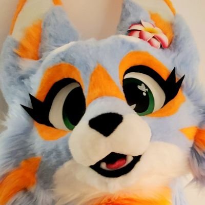 🇨🇦|🔞| Hazbin Hotel, HelluvaBoss Animation/Production Assistant, MLP Movie Animator |Fursuit by @YBLSuits| |29| He/Him