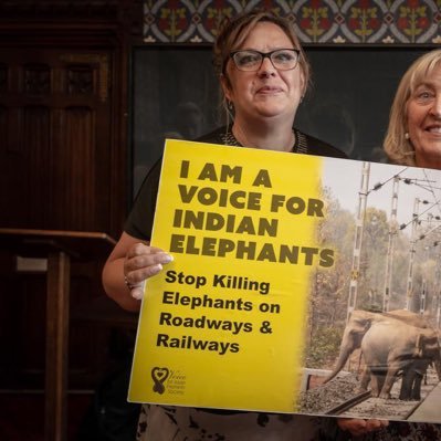 Advocates for the survival of elephants and against the abuse inflicted on Asian elephants...Join our UK group https://t.co/gXpm7SXmzN