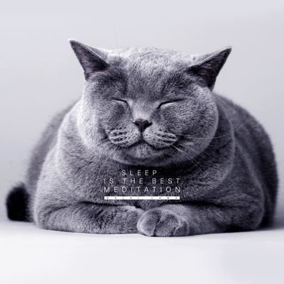 rskit1986's profile picture. 